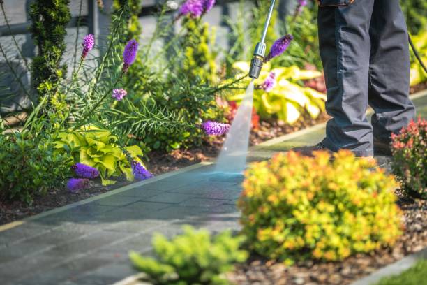Best Fence Cleaning  in De Pere, WI